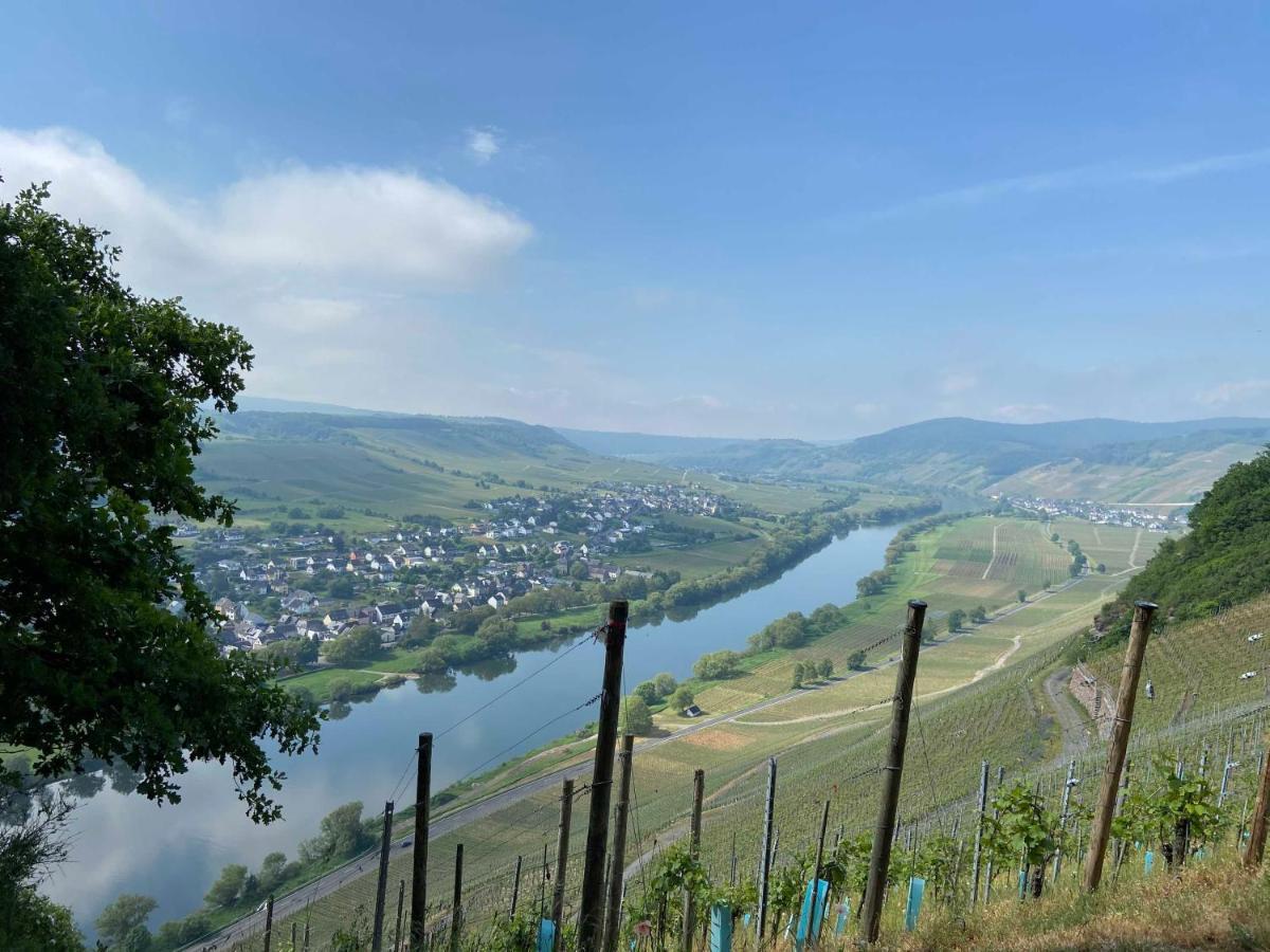 Апартаменты Neu!!! Moselbleibe Winzerhaus Kues Бернкастель-Кюс Экстерьер фото